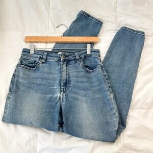 PISTOLA Light Wash High Rise Skinny Jeans Size 29 EUC